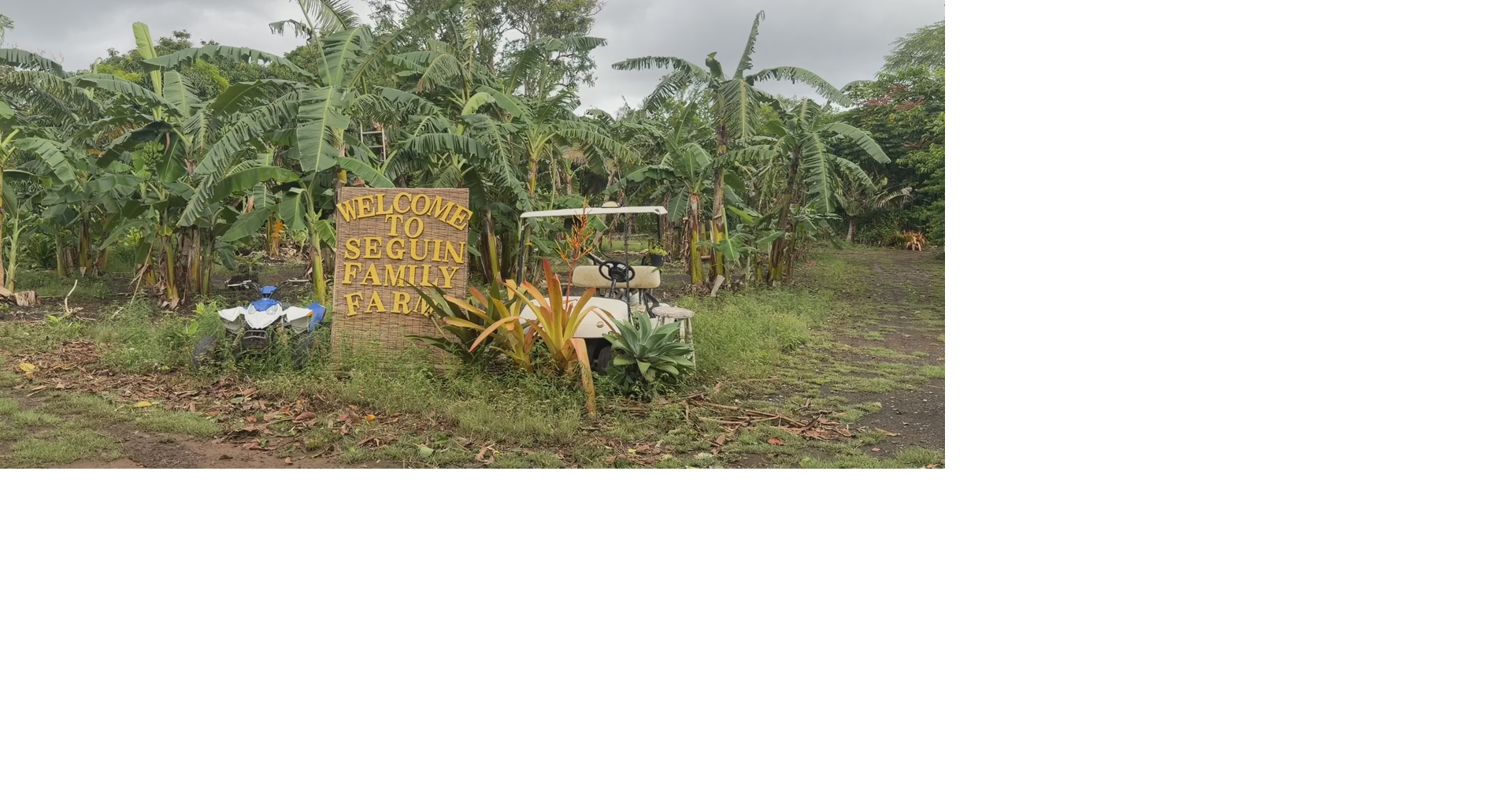 Seguin Family Farms owner faces Hurricane Lala's aftermath in Waiahole