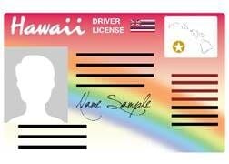 hawaii drivers license permit