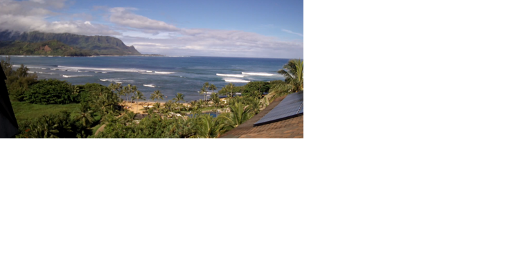 Hanalei Bay closed due to shark bite incident - Vimarsana News