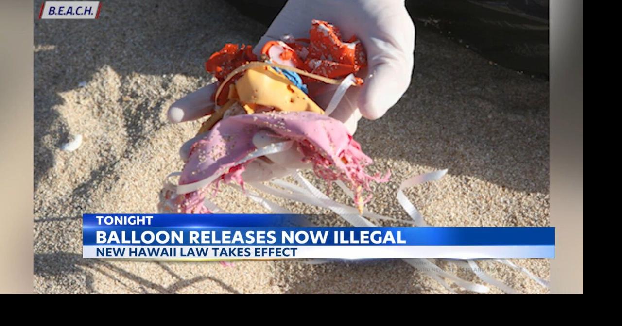 To protect marine life, balloon releases now banned in Hawaii Local