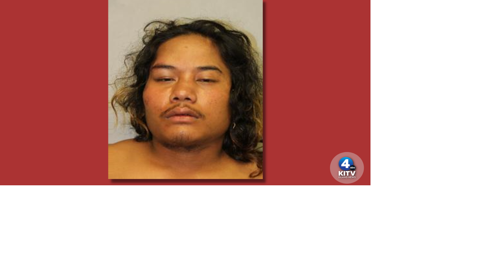 Hilo man, 22, charged with attempted murder after stabbing outside ...
