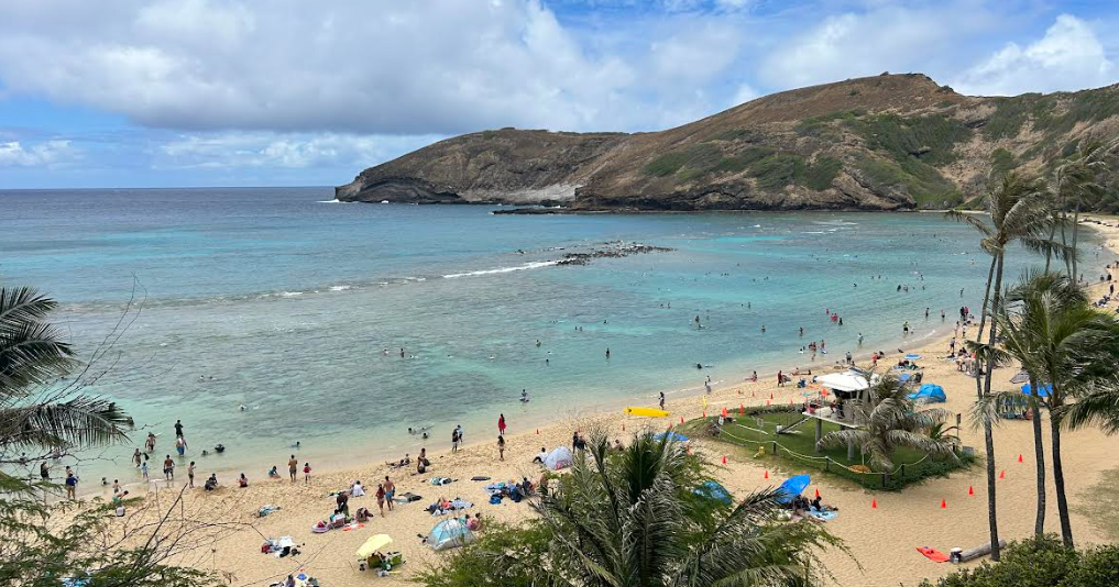 Maui has the most snorkeling fatalities in the state - Vimarsana News
