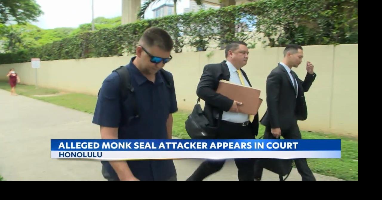 Alleged monk seal attacker makes first appearance in federal court in Honolulu