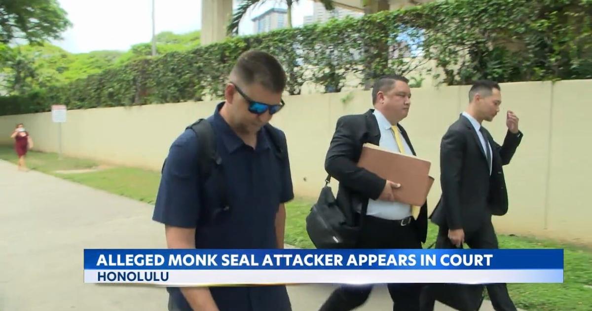 Alleged monk seal attacker makes first appearance in federal court in Honolulu