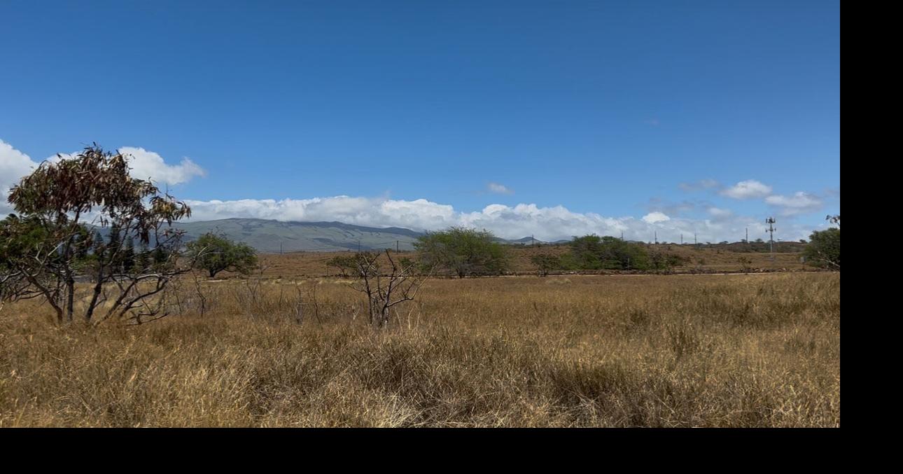 Waikoloa Wildfire Evacuation Study meeting set for July 14