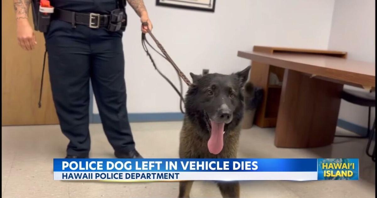 www.kitv.com