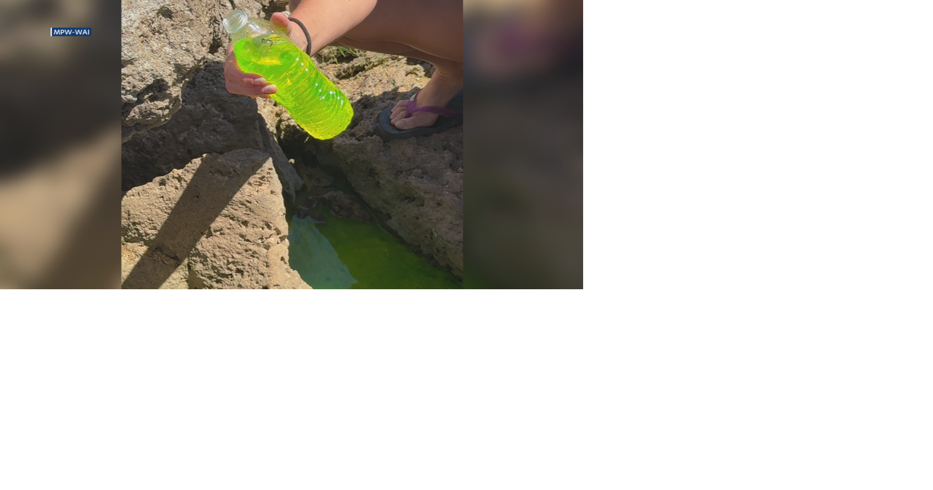 Green Dye confirms wastewater connection between beach park restrooms and Sharks Cove