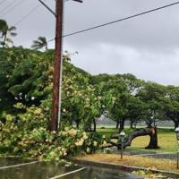Cleaning up after the storm, means cutting down trees and broken branches