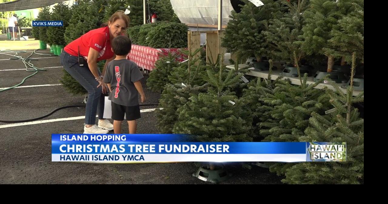 Hawai'i Island YMCA selling Christmas trees Video