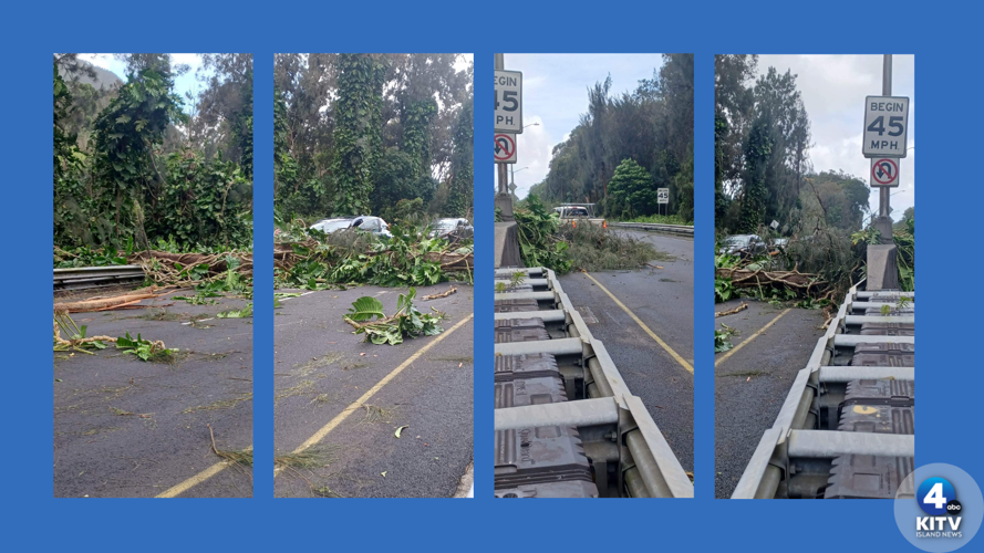 Downed trees, poles and power outages as high winds hit parts of Hawaii ...