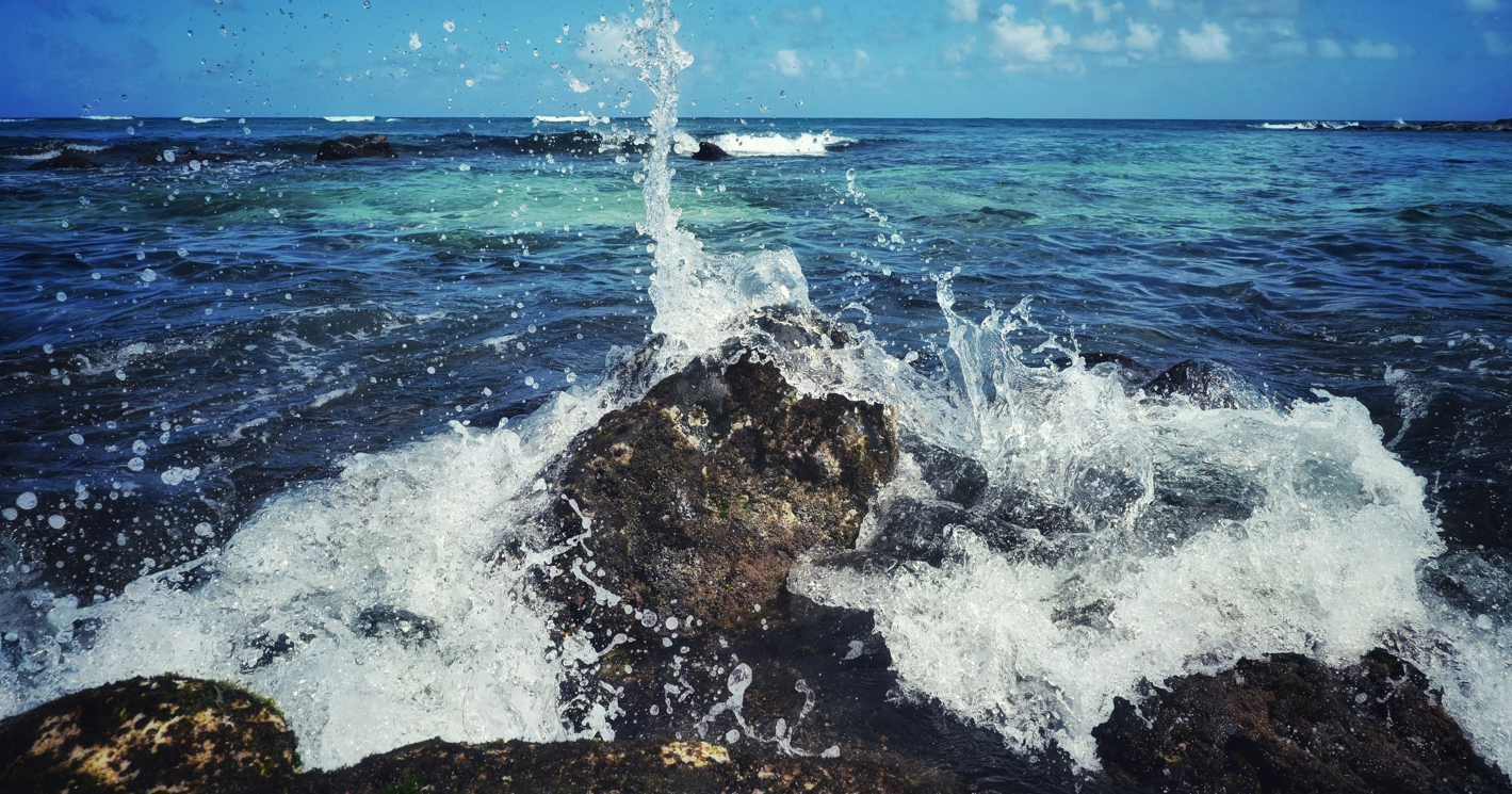 Celebrating World Ocean Day with Mālama Maunalua on GMH - Vimarsana News
