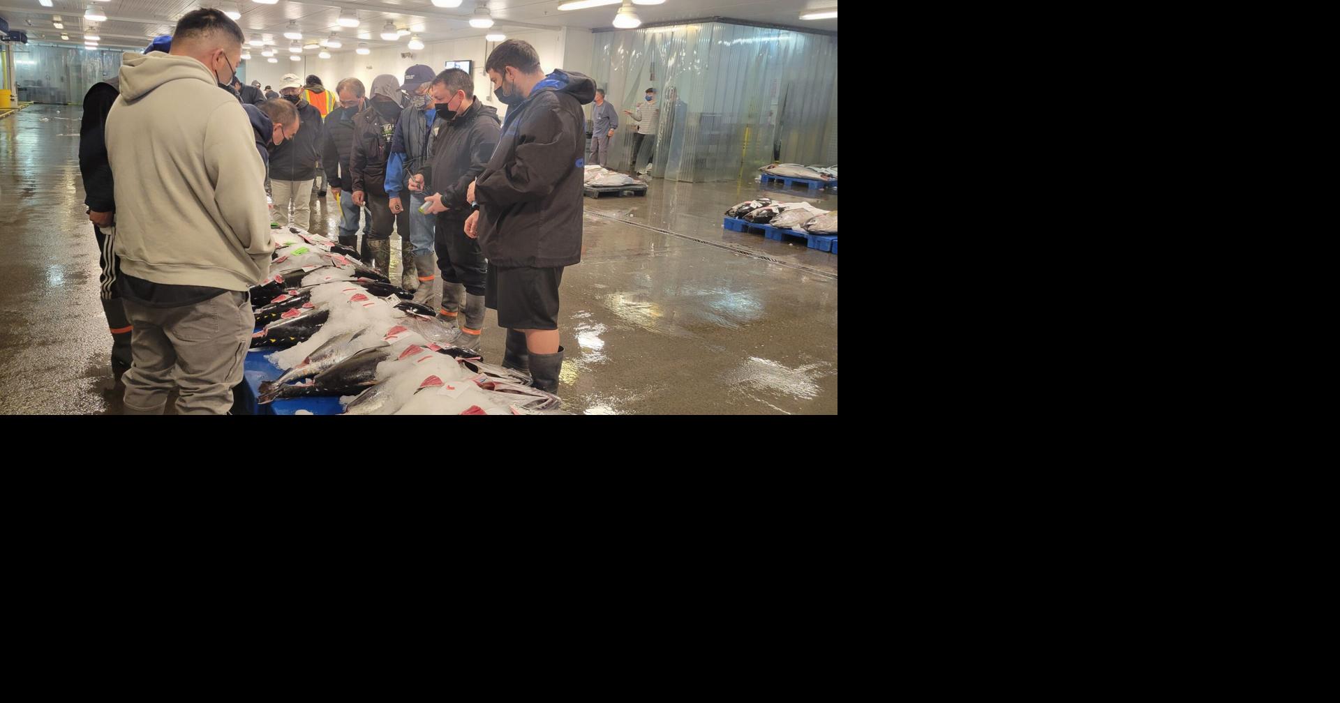 Live At The Honolulu Fish Auction for The New Year!
