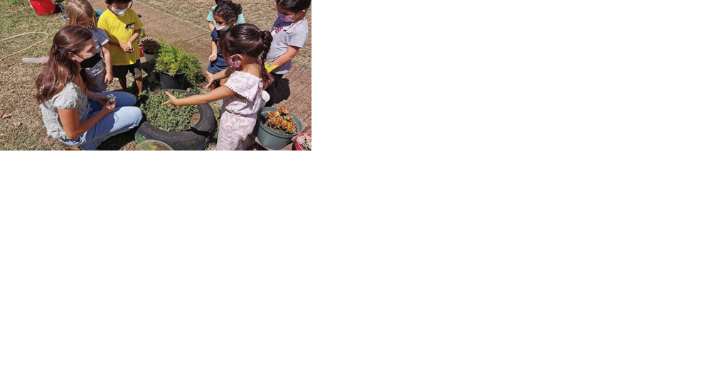 UH project aims to address low pay for community-based early educators in Hawaii - Vimarsana News