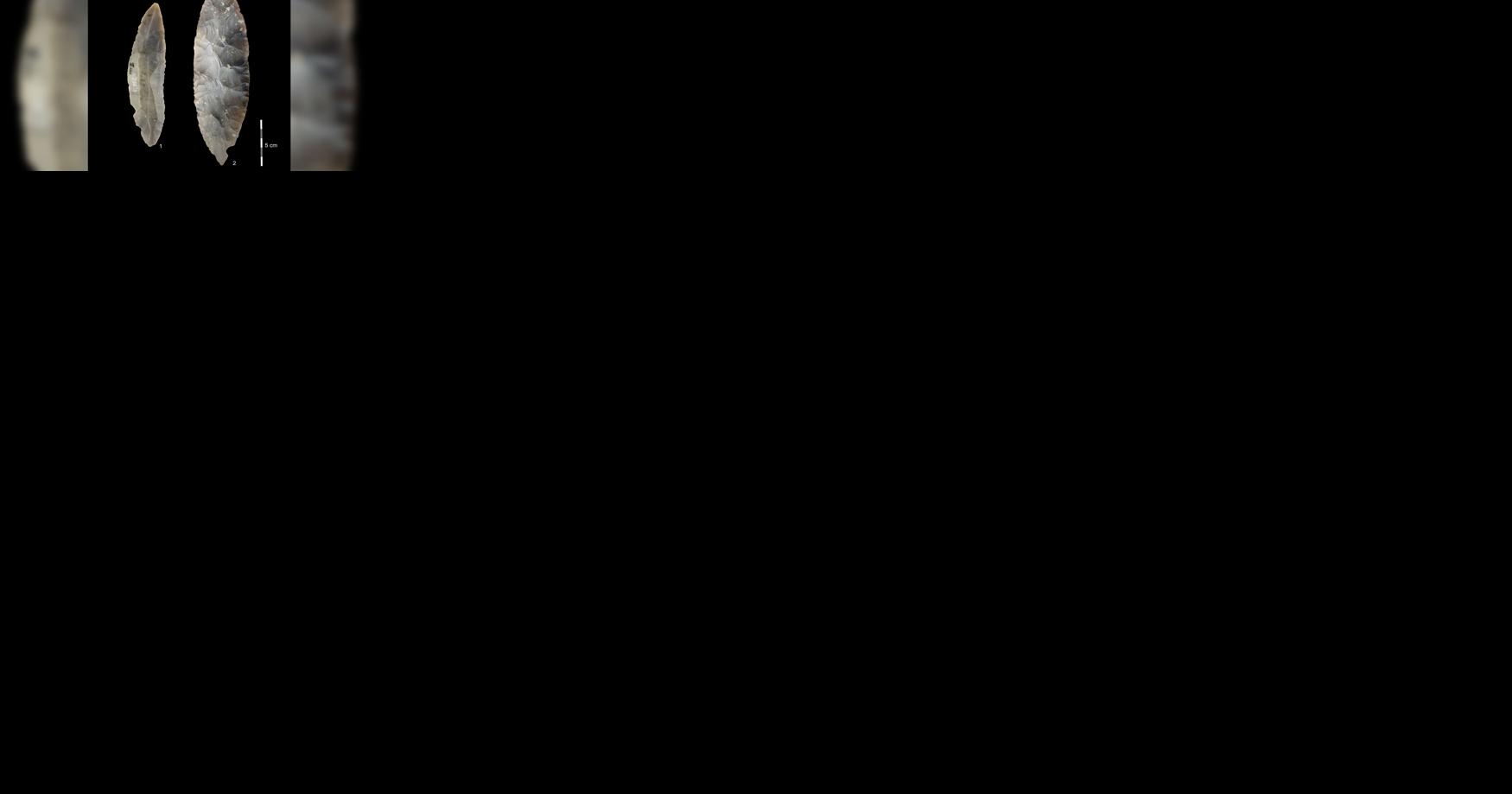 Bones found in 8-meter-deep pit may 'fundamentally change' history of humans in Europe | National - Vimarsana News