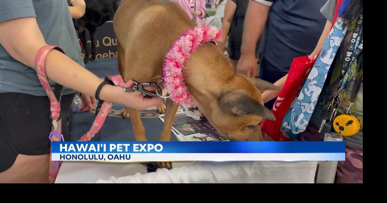 Hawaii Pet Expo Video