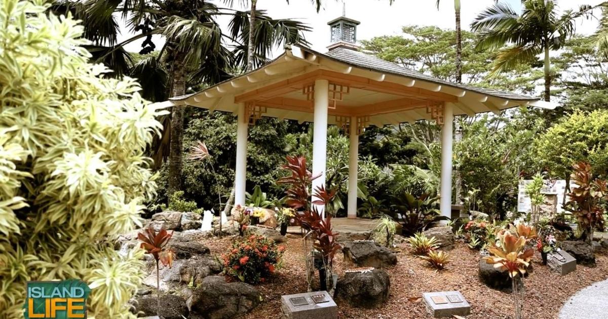 Providing unique burial options for your loved ones at Hawaiian