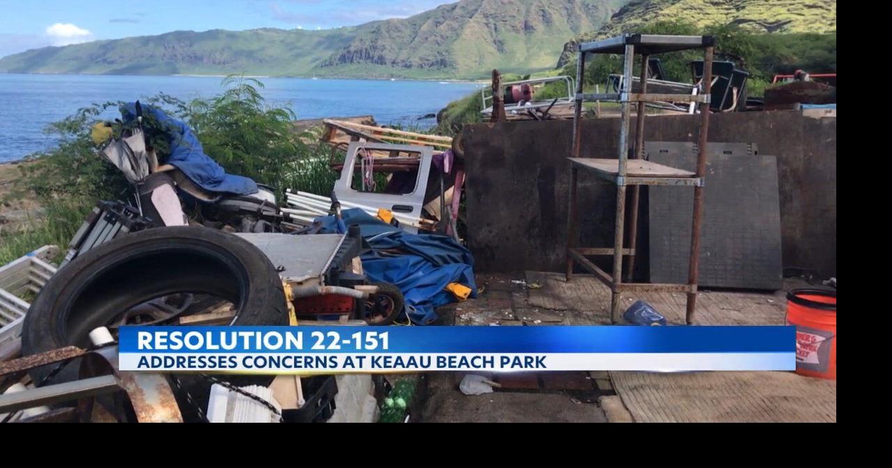 UPDATE Honolulu City Council adopts resolution to enforce rules