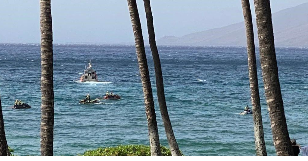 Maui Shark Attack 12/8 | | kitv.com