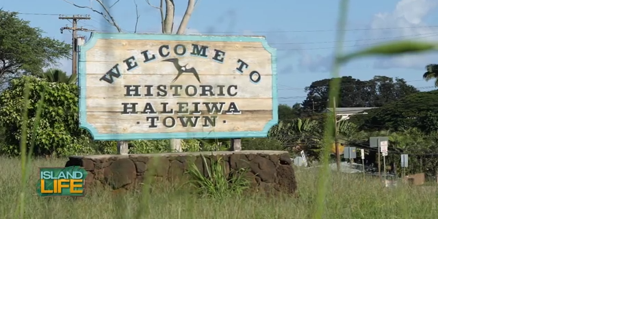 Enjoy a Country Weekend Getaway in Historic Haleiwa Town - Vimarsana News