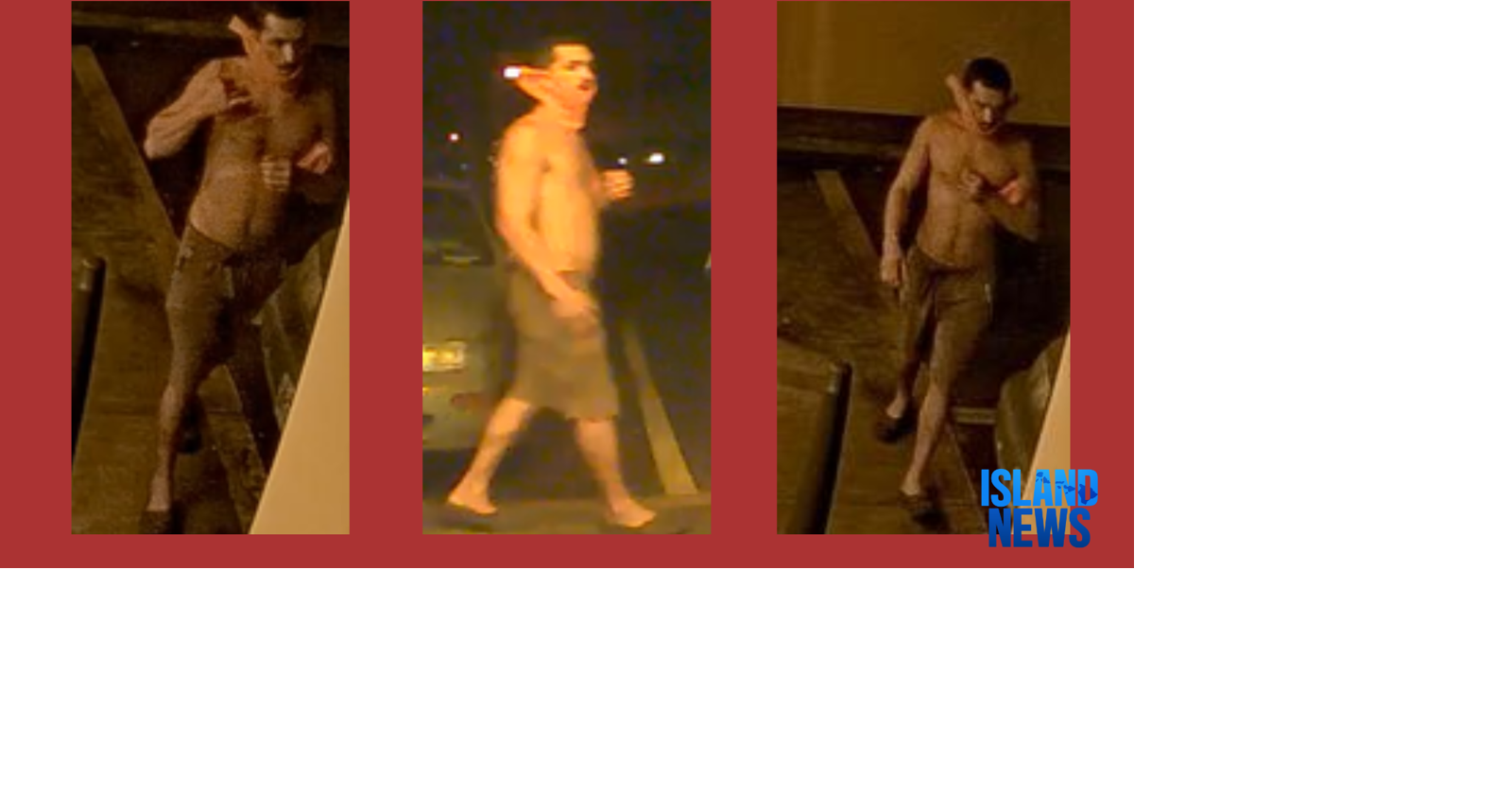 Hawaii Island Police search for suspect in Hilo theft investigation ...