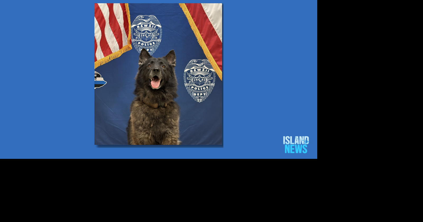 Fallen HPD K9 Archer to be honored in D.C. ceremony