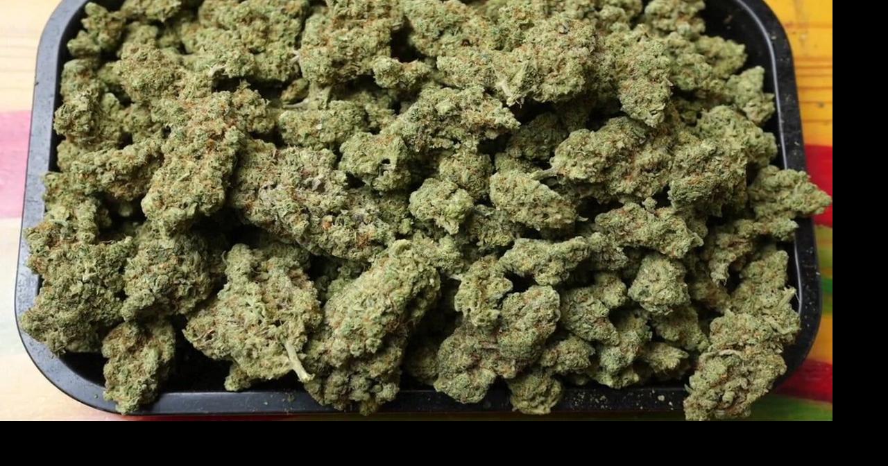 Feds downgrade medical marijuana to less dangerous drug