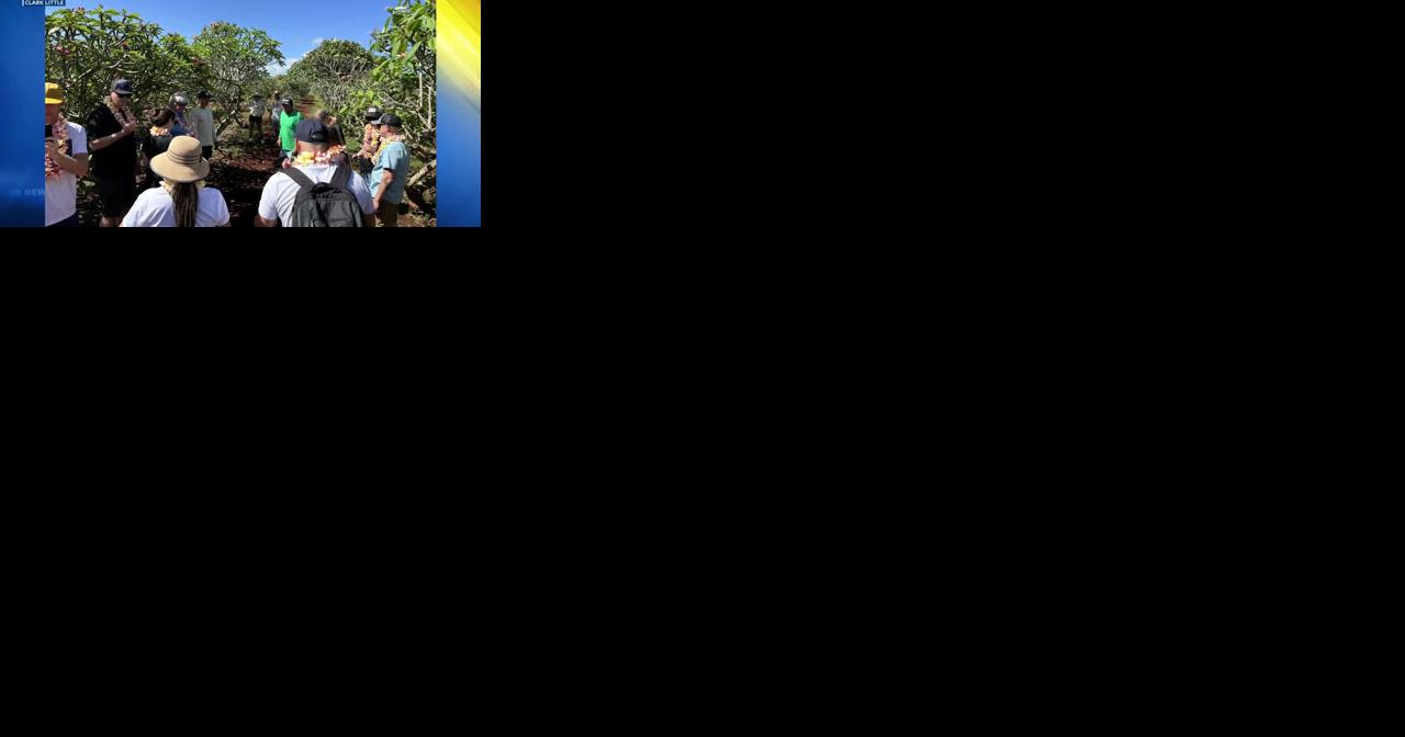 ON A POSITIVE NOTE: photographer Clark Little and his family launch plumeria farm tours - Vimarsana News