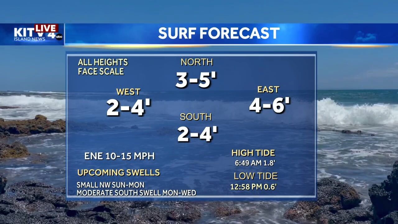 Hawaii Weather Today » Hawaii Surf Reports/Forecasts