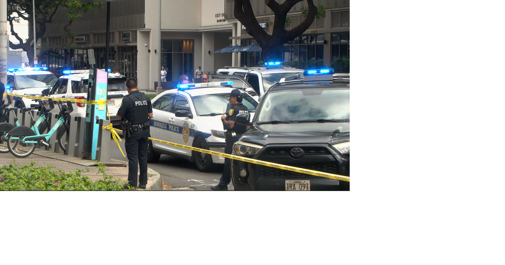 Assault News Image