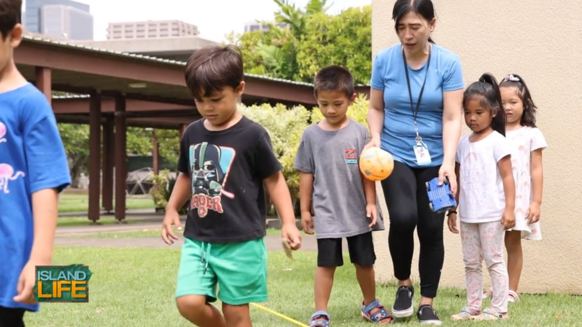 Best Of Hawaii 2024: Seagull Schools | Island Life | Kitv.com