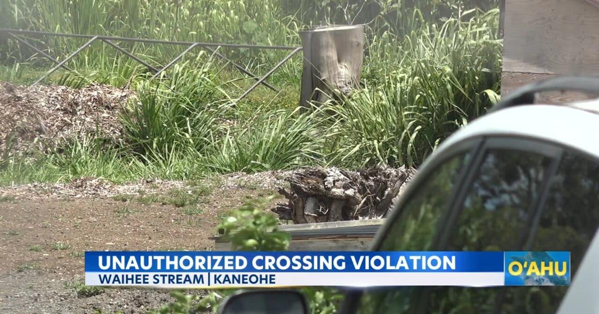 Kaneohe stream pollution leads to $65k fine for property owners