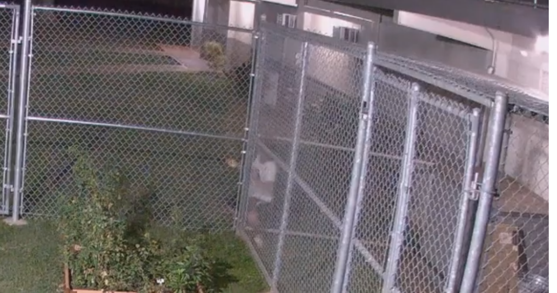 HPD searching for burglary suspect who cut through fence stole items
