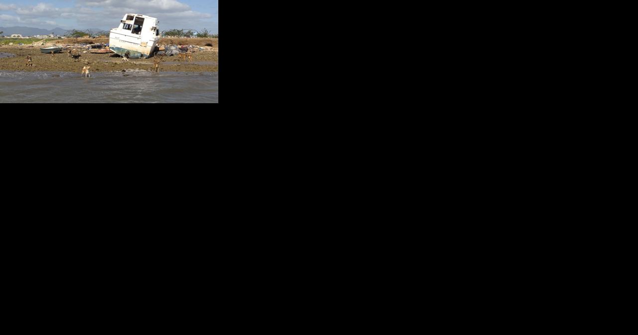 Aggressive pack of dogs threaten local fisherman at Oahu's Ke'ehi Small Boat Harbor - Vimarsana News