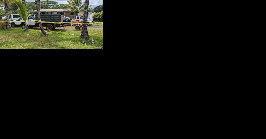 Shooting incident in Hawaiian Paradise Park sparks attempted murder investigation - Vimarsana News
