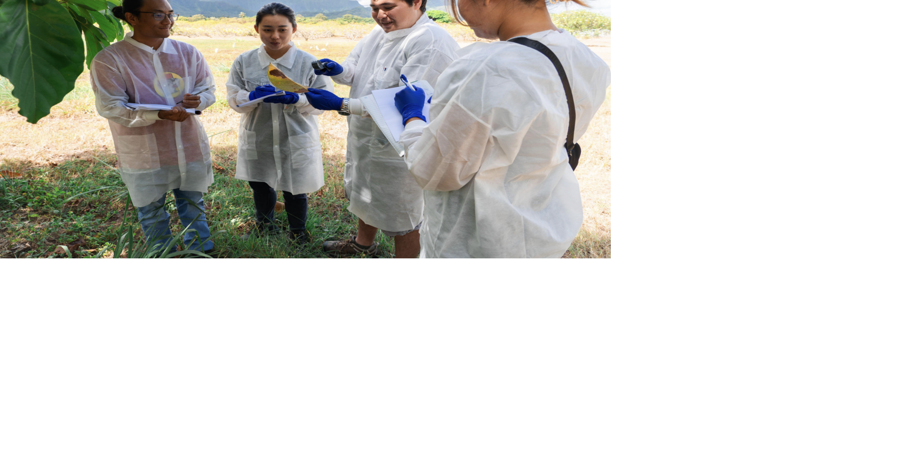 UH summer research program expands to five islands