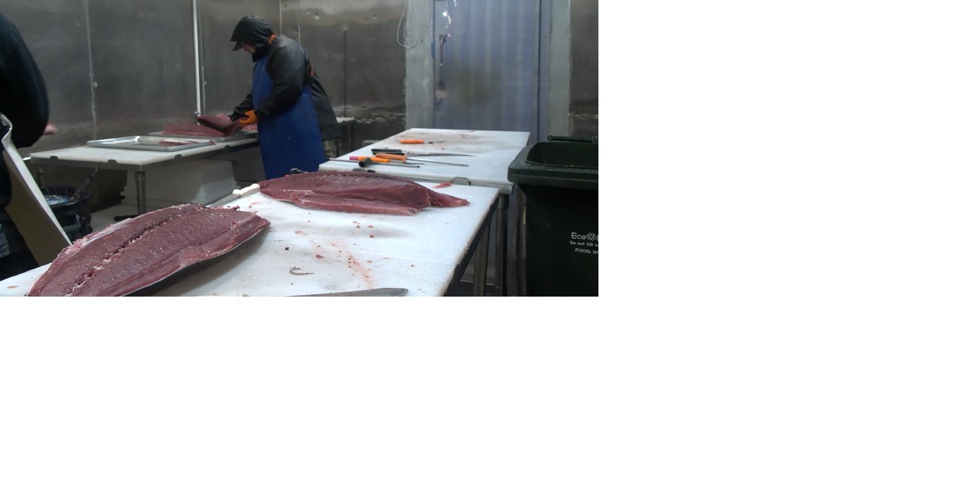 Hawaii businesses prepare for new ahi labeling requirements taking effect on July 1
