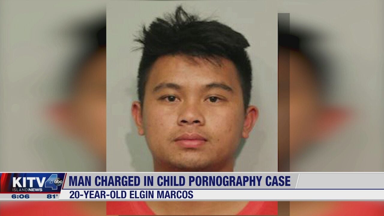 Elgin Porn - Big Island man charged in child pornography case | Local | kitv.com