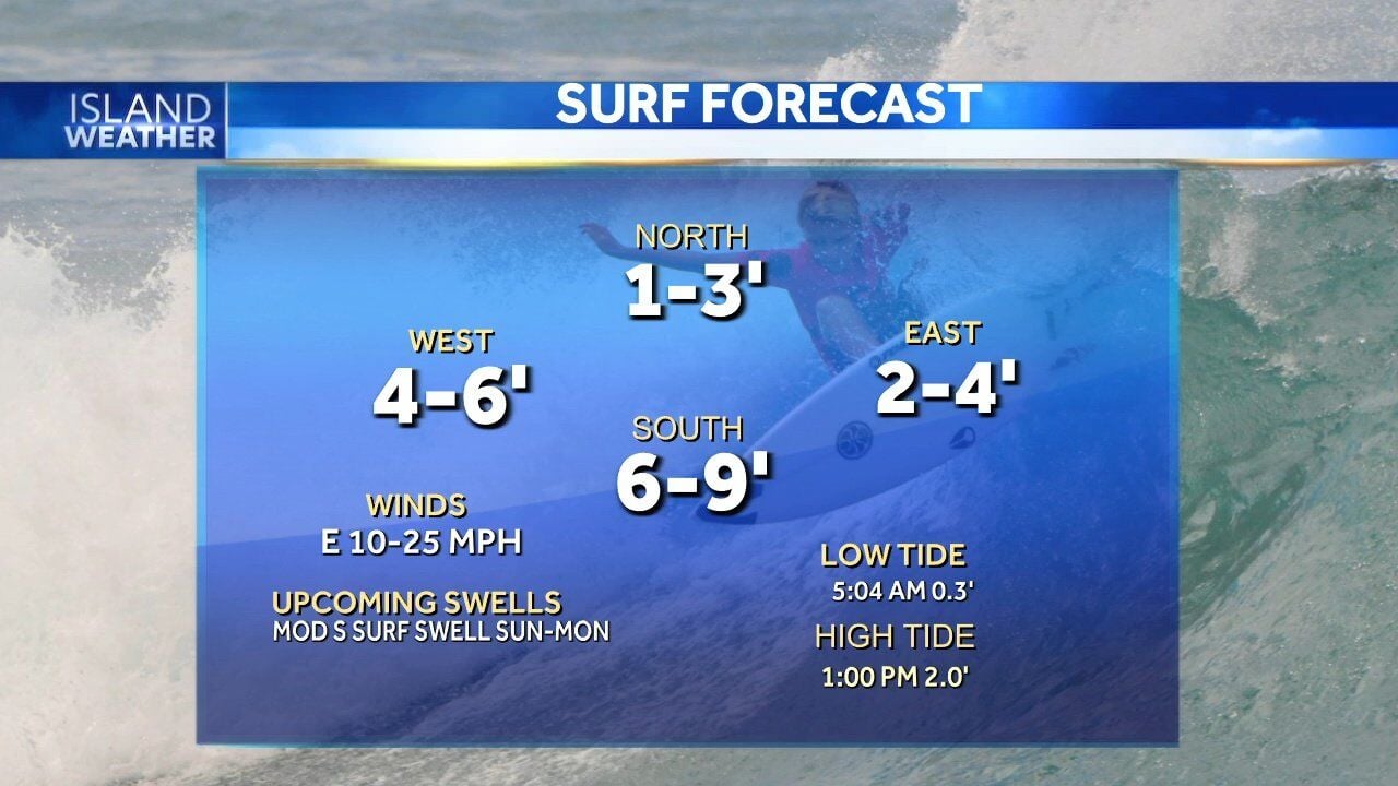 Hawaii Weather Today » Hawaii Surf Reports/Forecasts