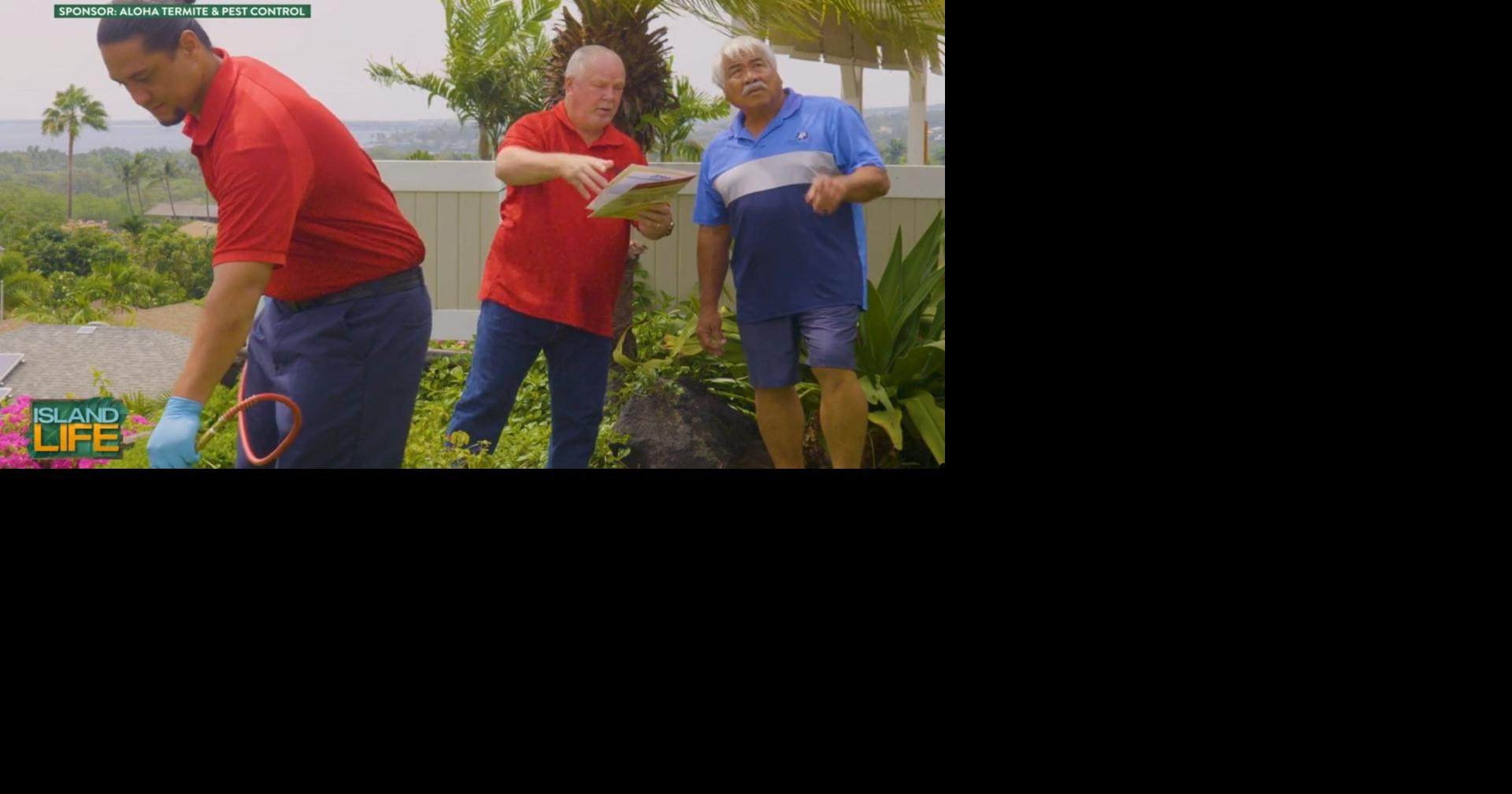 Best Of Hawaii 2024 Aloha Termite & Pest Control Island Life