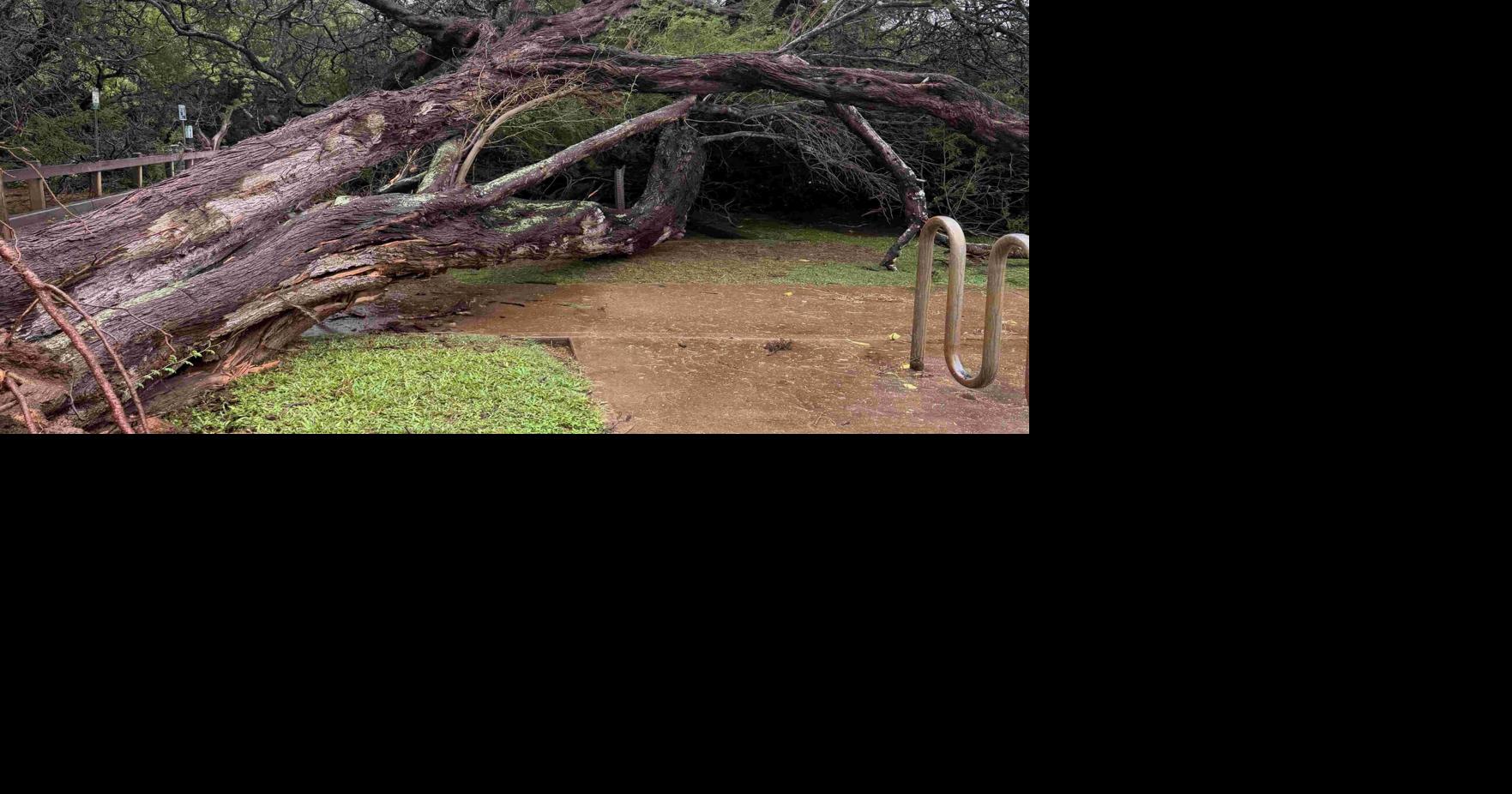 Maui Mayor issues emergency proclamation for severe weather from storm