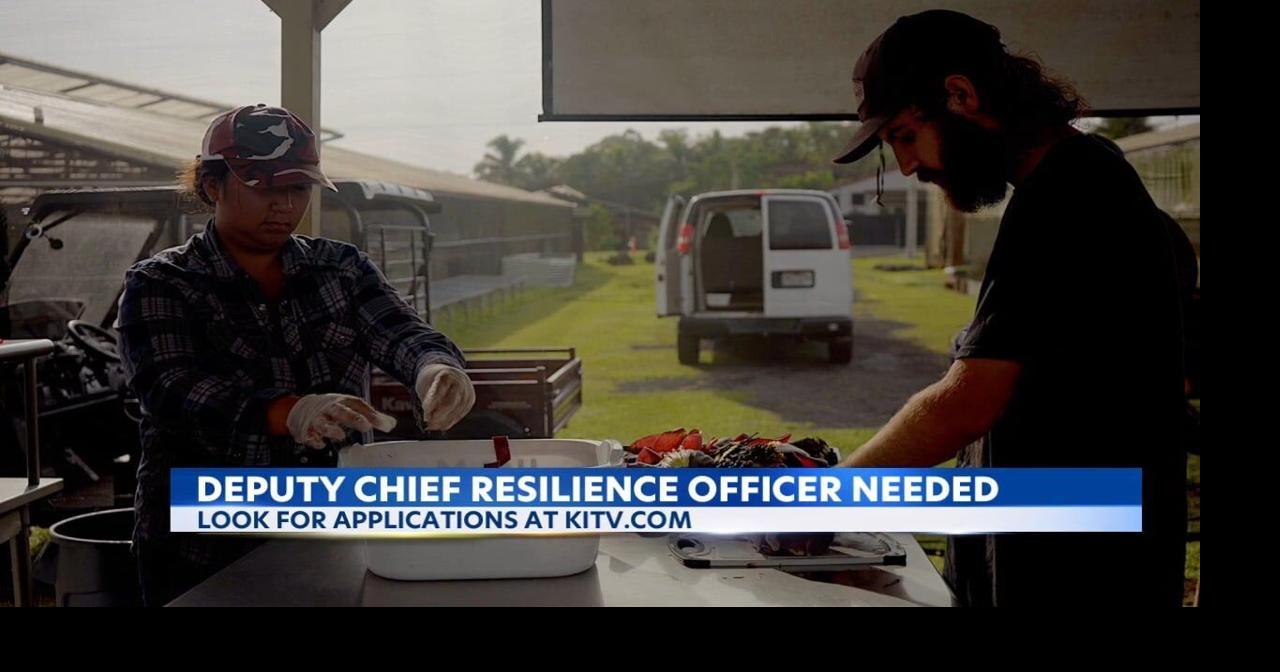 Make a difference: Honolulu hiring for climate leadership positions