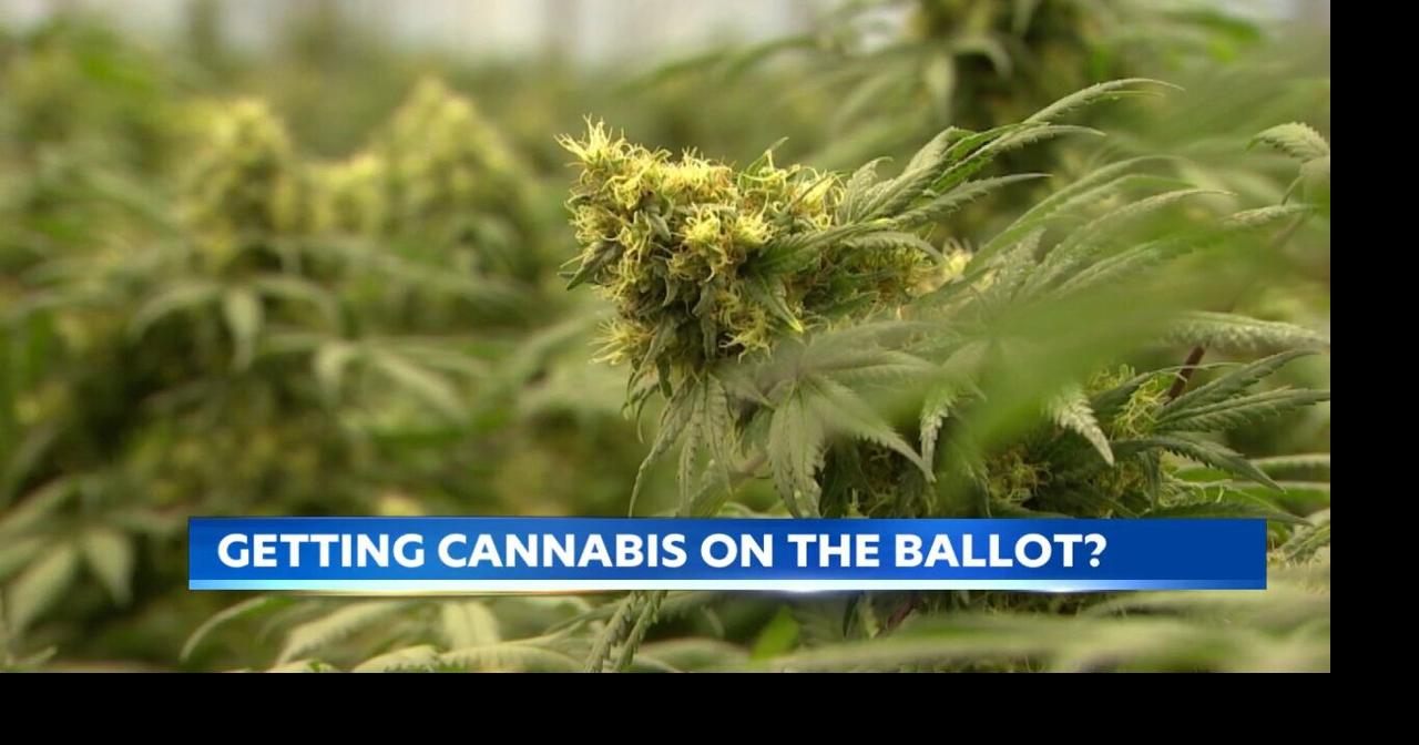 Potential marijuana vote could shift Hawaii's cannabis laws