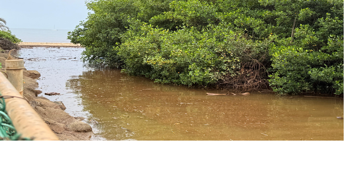 Closures, traffic advisories and evacuation shelters for severe weather in Hawaii