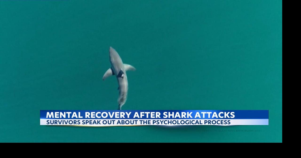 Local surfers react to news of aggressive shark attack off Kauai waters
