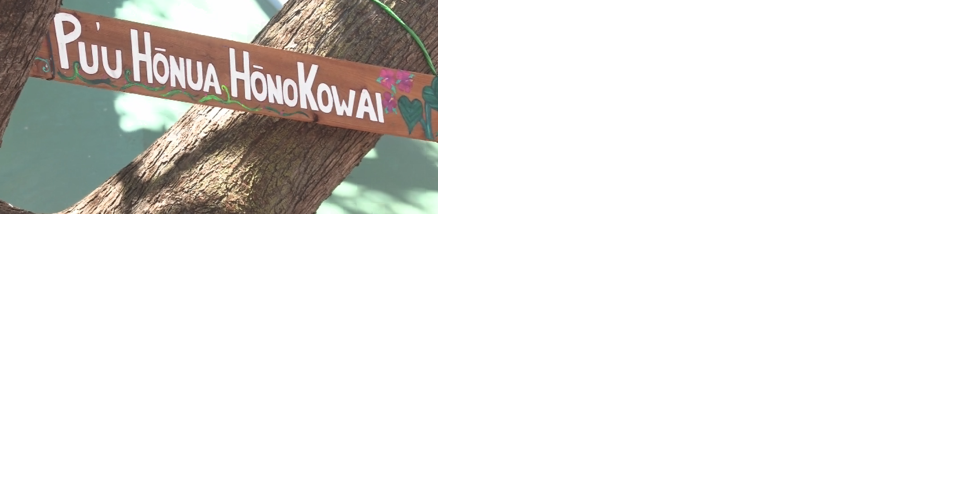 Maui donation hubs offer more than just supplies - Vimarsana News