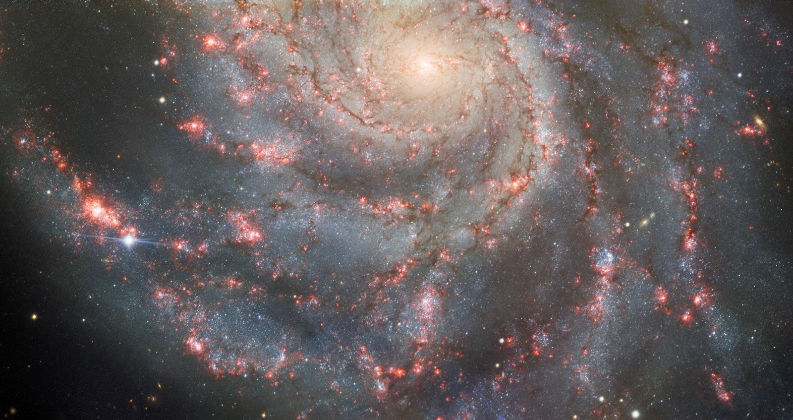 A new supernova has appeared in the night sky | National | kitv.com