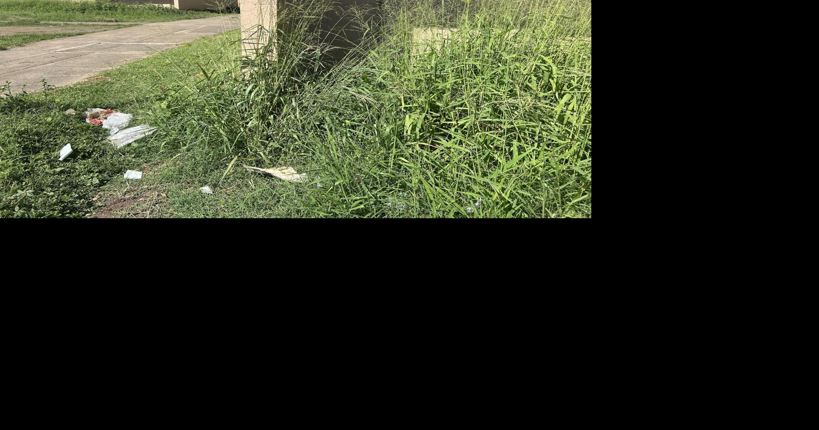 First HPD officer involved shooting of 2026 takes place at Halawa public housing