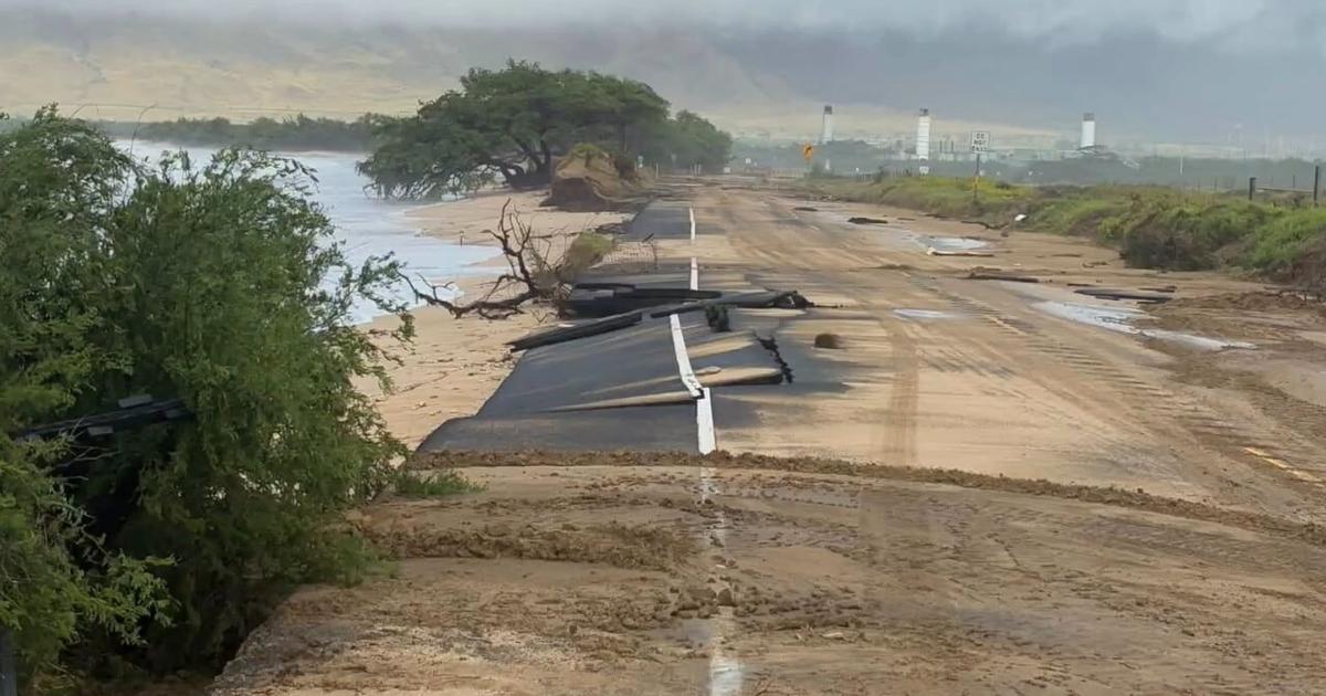 Coverage image for: Hurricane Lowell leaves widespread damage across Hawaii