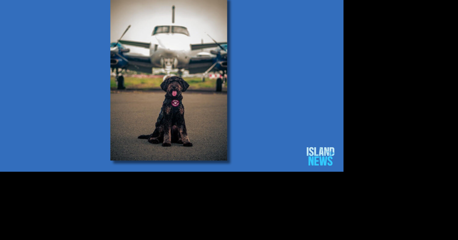 Therapy dog Aka supports Hawaii Life Flight's first responders