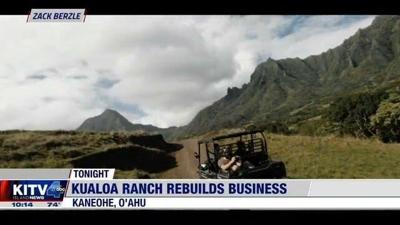 Business is back for Kualoa Ranch, but staffing isn't